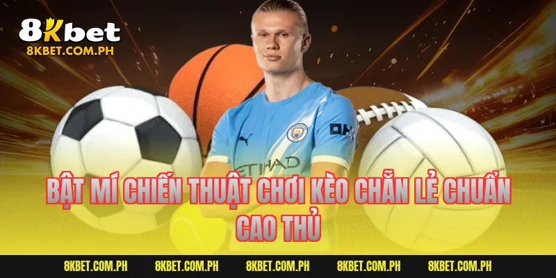 Bật mí chiến thuật chơi kèo chẵn lẻ chuẩn cao thủ