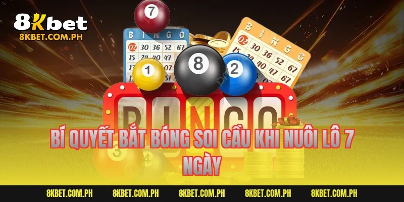 Bí quyết bắt bóng soi cầu khi nuôi lô 7 ngày