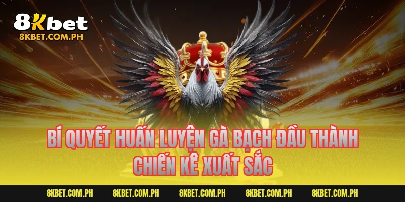 Bí quyết huấn luyện gà bạch đầu thành chiến kê xuất sắc