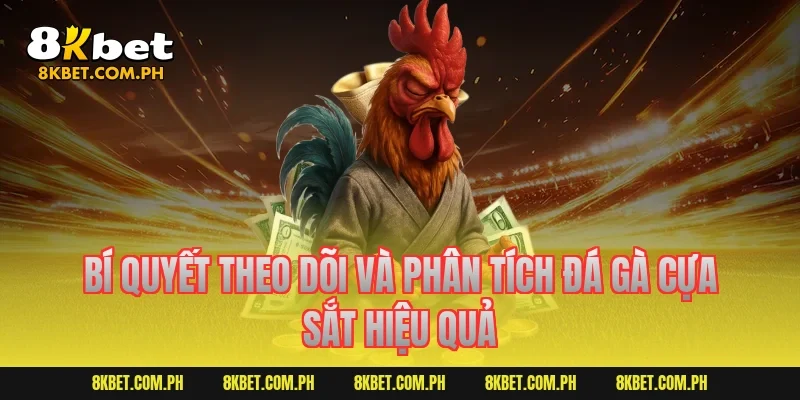 Bí quyết theo dõi và phân tích đá gà cựa sắt hiệu quả