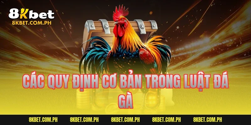 Các quy định cơ bản trong luật đá gà