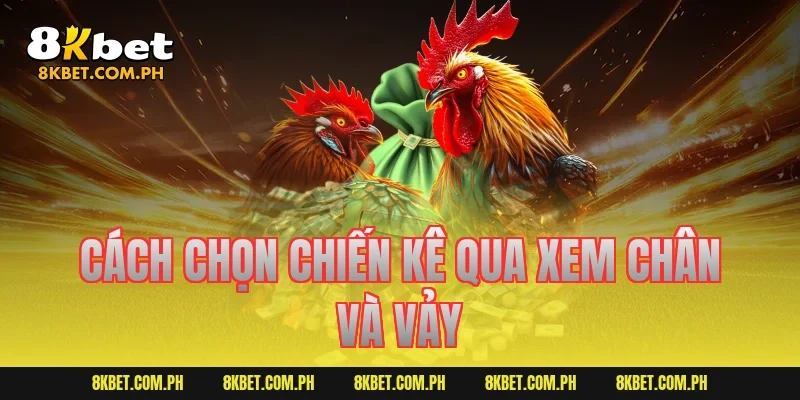 Cách chọn chiến kê qua xem chân và vảy