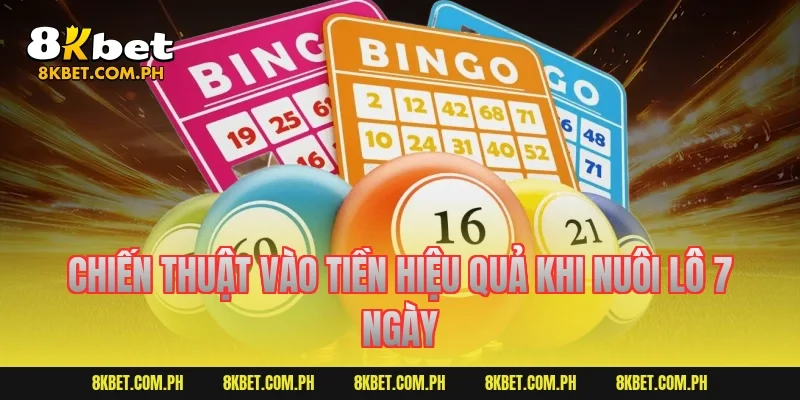 Chiến thuật vào tiền hiệu quả khi nuôi lô 7 ngày