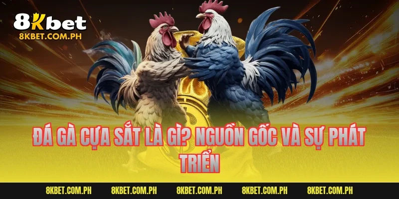 Đá gà cựa sắt là gì? Nguồn gốc và sự phát triển