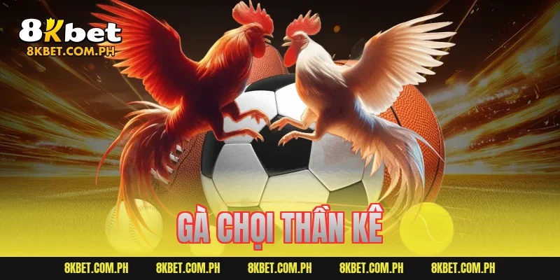 gà chọi thần kê