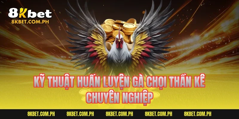 Kỹ thuật huấn luyện gà chọi thần kê chuyên nghiệp