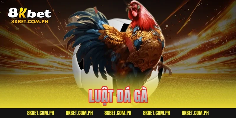 luật đá gà