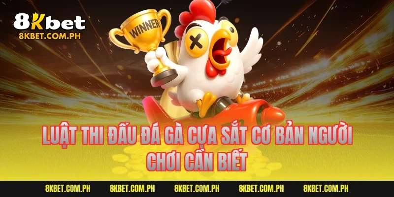 Luật thi đấu đá gà cựa sắt cơ bản người chơi cần biết