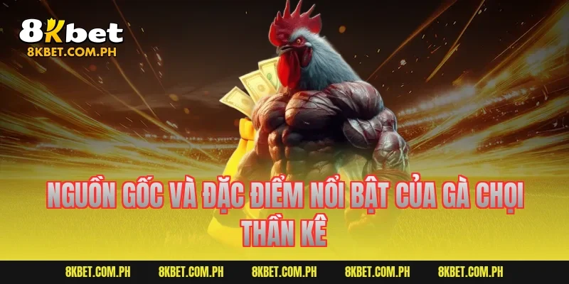 Nguồn gốc và đặc điểm nổi bật của gà chọi thần kê