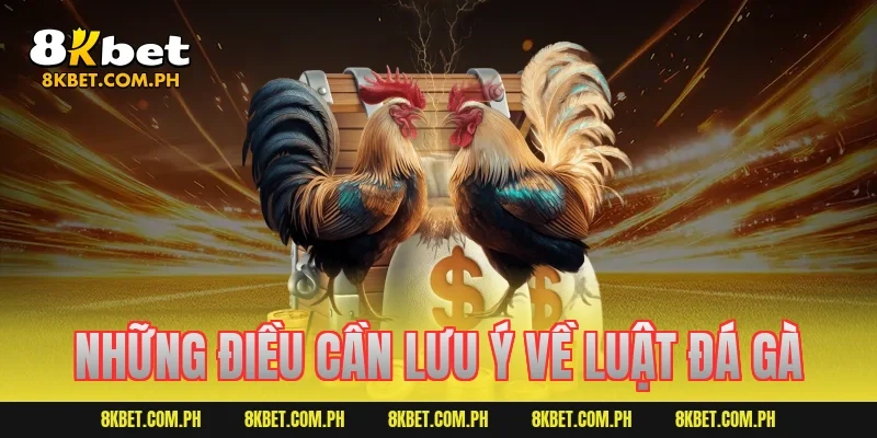 Những điều cần lưu ý về luật đá gà