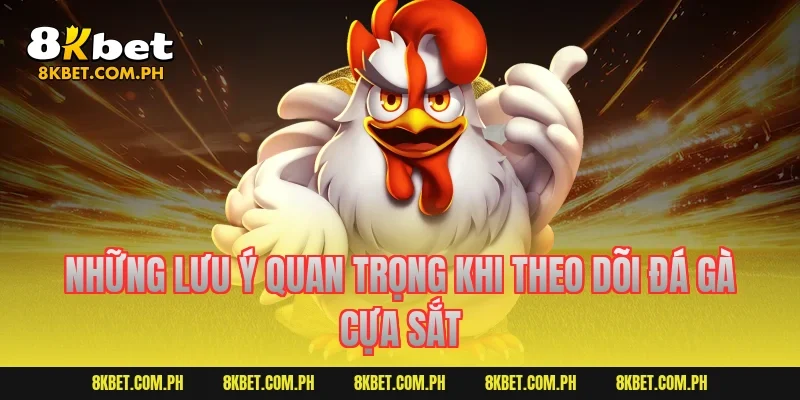 Những lưu ý quan trọng khi theo dõi đá gà cựa sắt