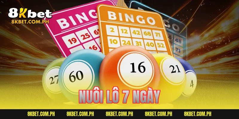 nuôi lô 7 ngày