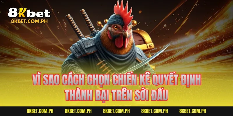 Vì sao cách chọn chiến kê quyết định thành bại trên sới đấu