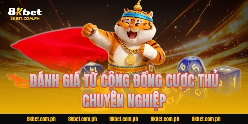 Đánh giá từ cộng đồng cược thủ chuyên nghiệp